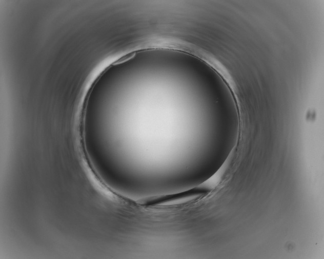 X0000097001152200802081438