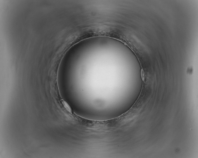 X0000097001153200802081437