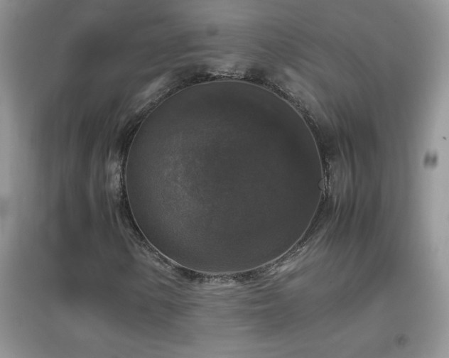 X0000097001154200802081437