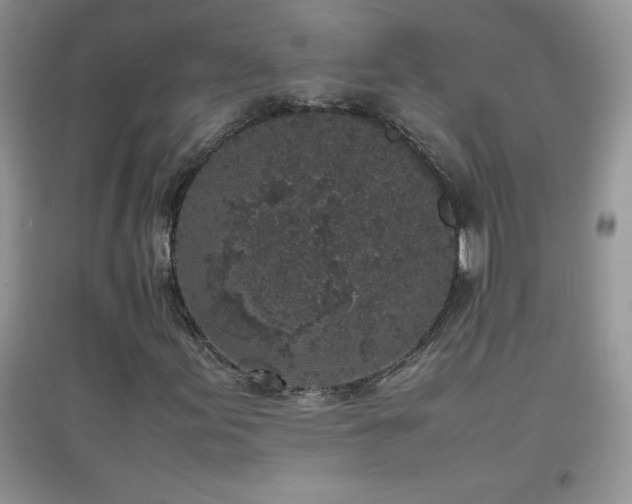 X0000097001155200802081437