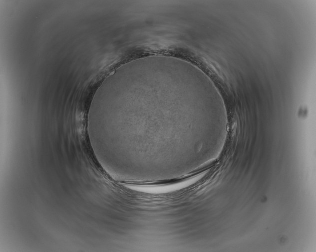 X0000097001156200802081437
