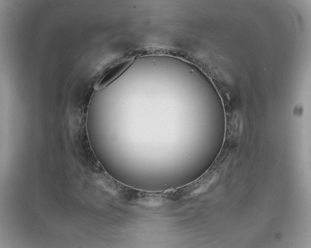 X0000097001157200802081437