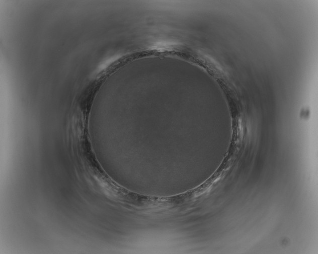 X0000097001158200802081437
