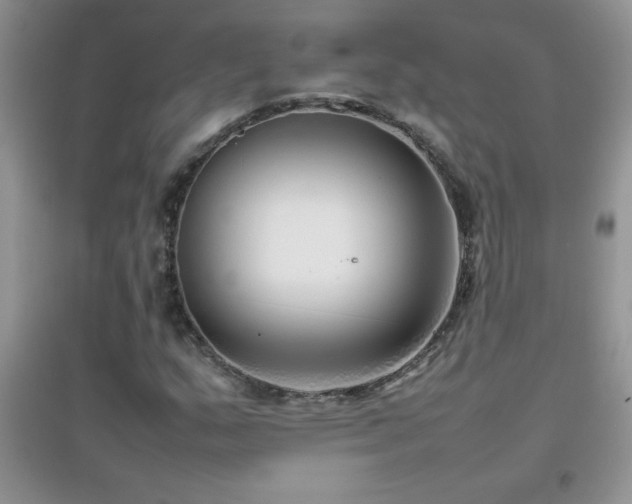 X0000097001159200802081437