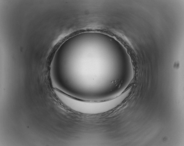 X0000097001160200802081437