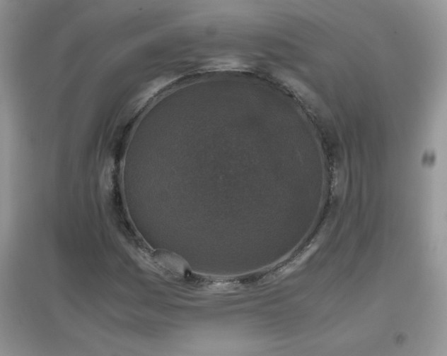 X0000097001161200802081437