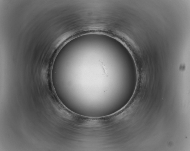 X0000097001162200802081437