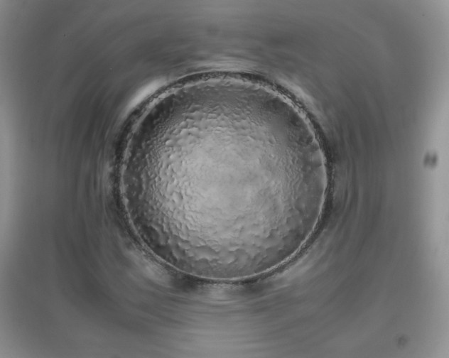 X0000097001163200802081437