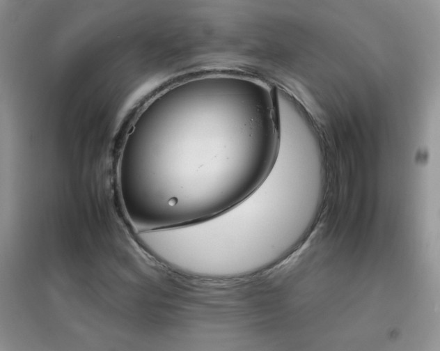 X0000097001164200802081437