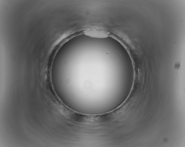 X0000097001165200802081437