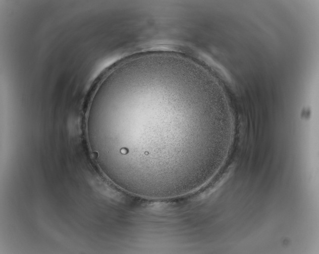 X0000097001166200802081437