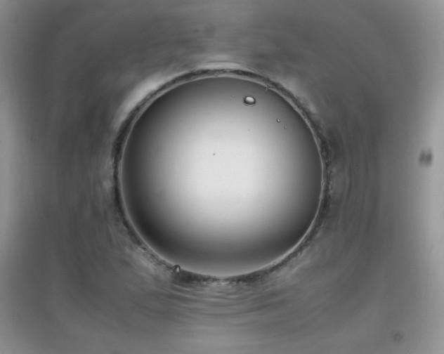X0000097001167200802081437