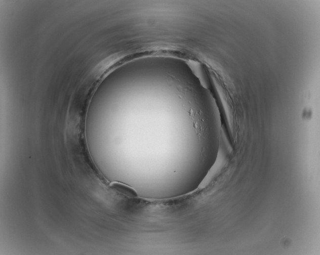X0000097001169200802081437
