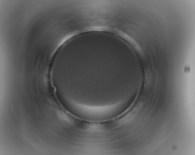 X0000097001170200802081437