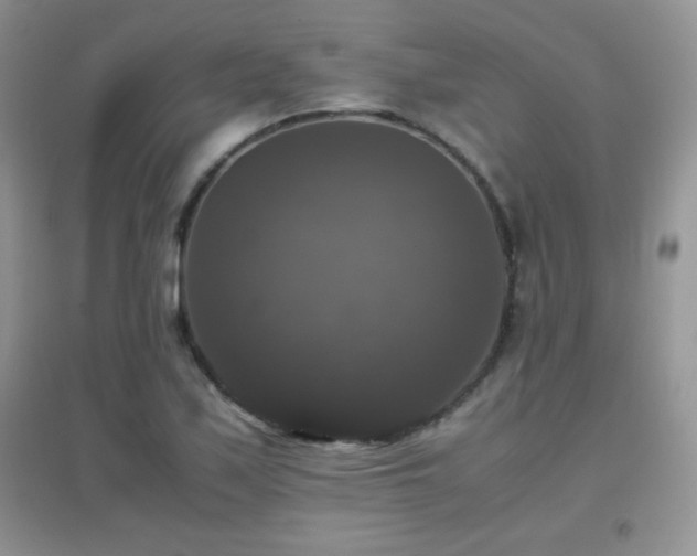 X0000097001171200802081437