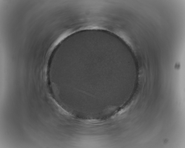 X0000097001173200802081437