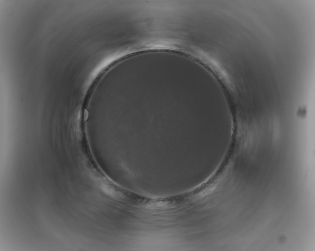 X0000097001174200802081437