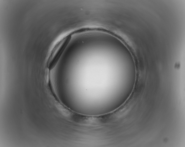X0000097001175200802081437