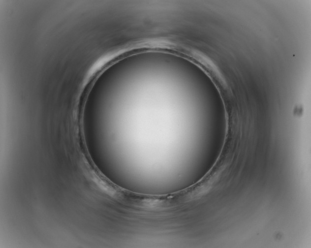 X0000097001176200802081437