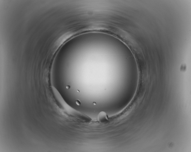 X0000097001177200802081437