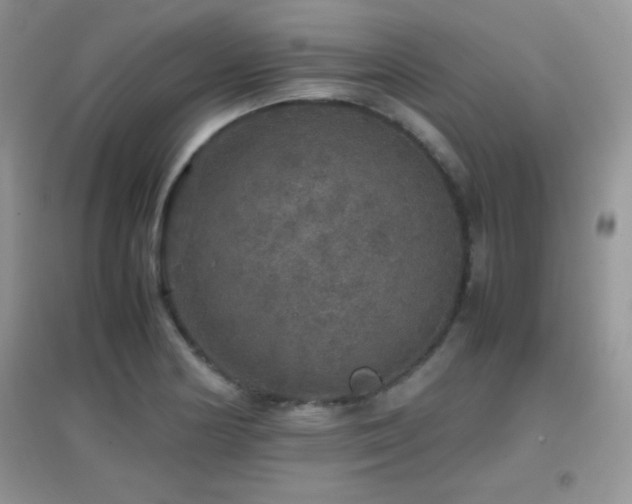 X0000097001178200802081437