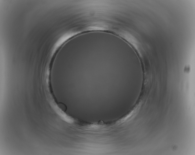 X0000097001179200802081437