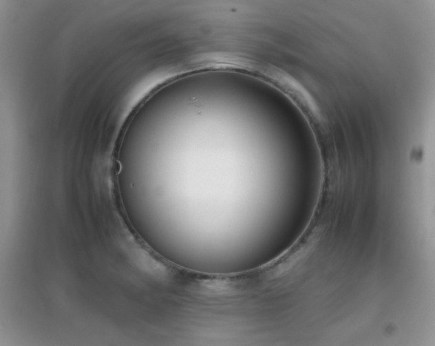 X0000097001182200802081437