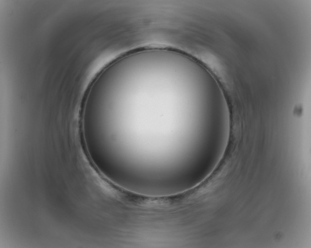 X0000097001183200802081437