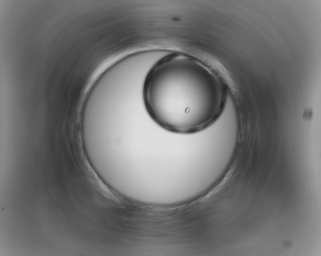 X0000097001184200802081437