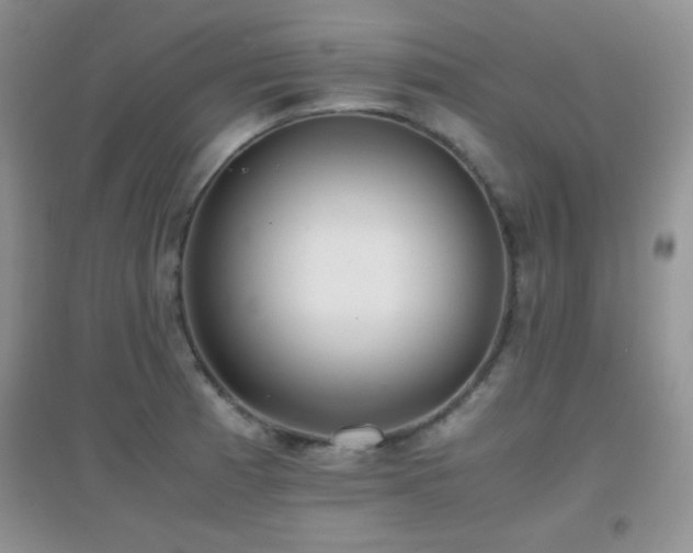 X0000097001185200802081437
