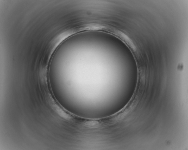 X0000097001186200802081437