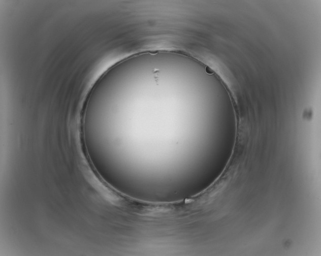 X0000097001187200802081437