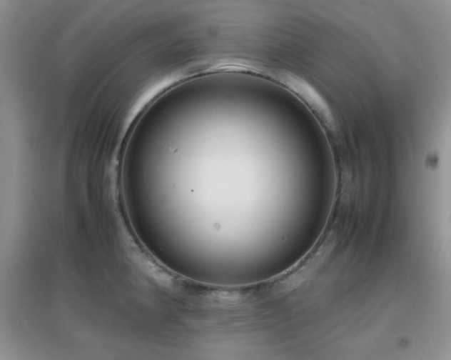 X0000097001190200802081437