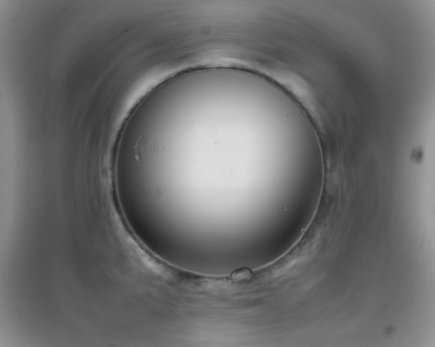 X0000097001191200802081437