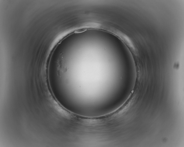 X0000097001192200802081437