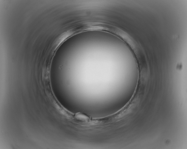 X0000097001193200802081437