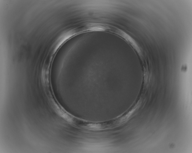 X0000097001194200802081437