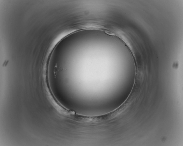 X0000097001195200802081437