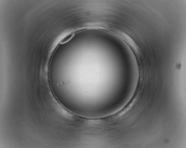 X0000097001196200802081437