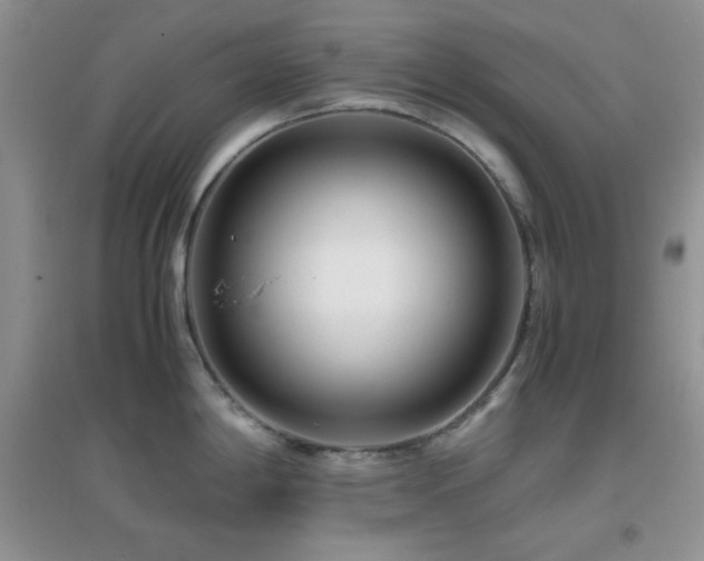 X0000097001198200802081437