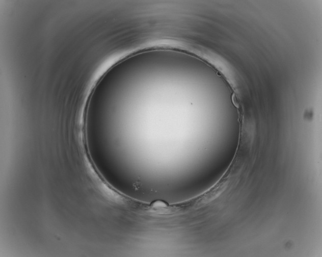 X0000097001199200802081437