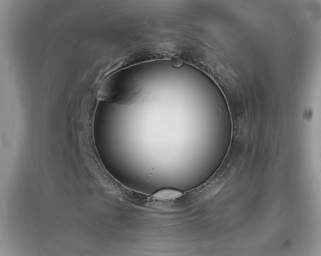 X0000097001201200802081436