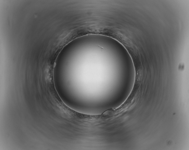 X0000097001202200802081436
