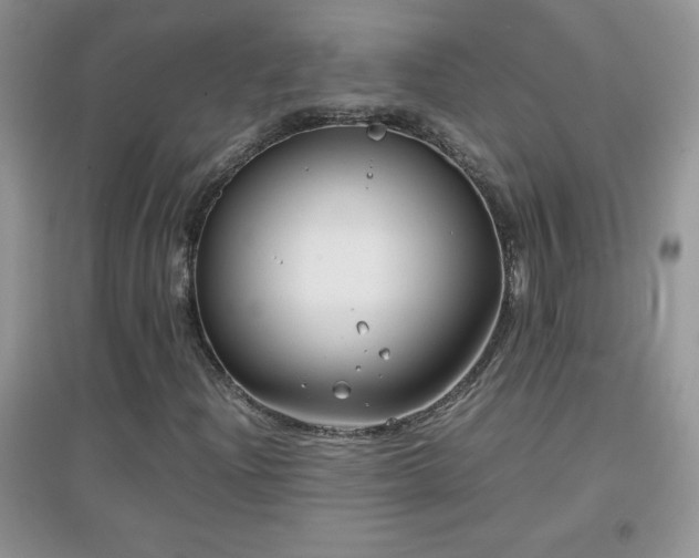 X0000097001204200802081436