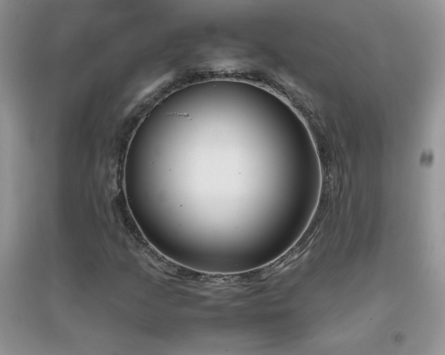X0000097001205200802081436