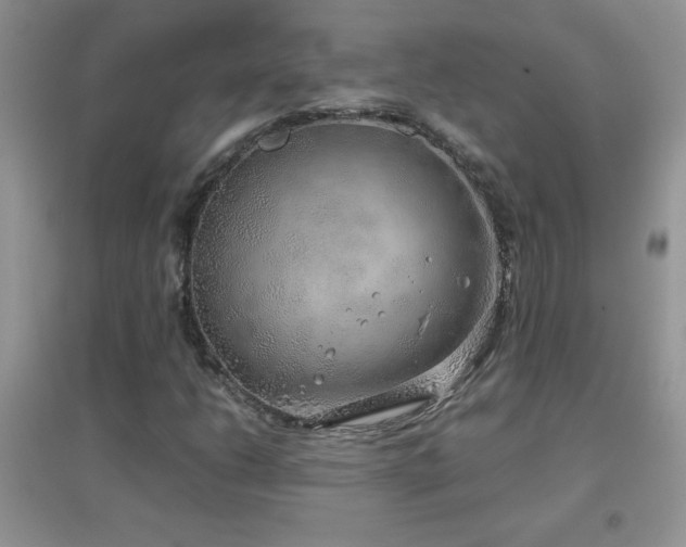 X0000097001206200802081436