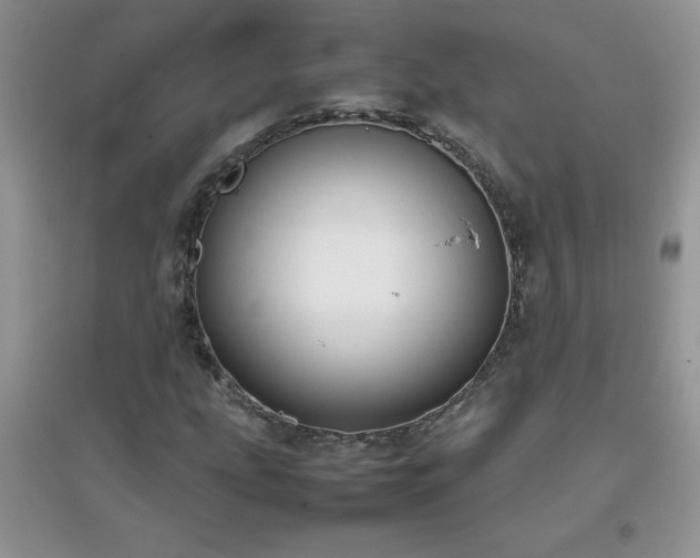 X0000097001207200802081436