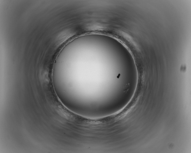 X0000097001209200802081436