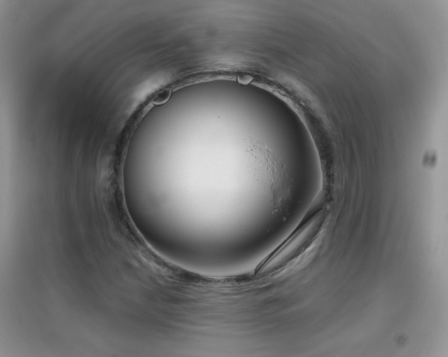 X0000097001210200802081436