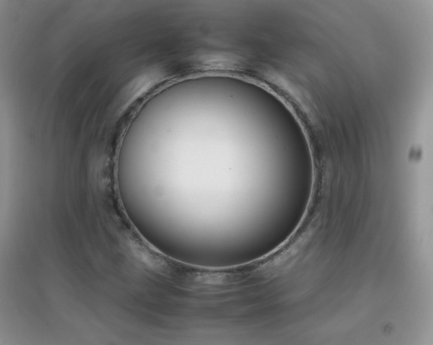 X0000097001211200802081436